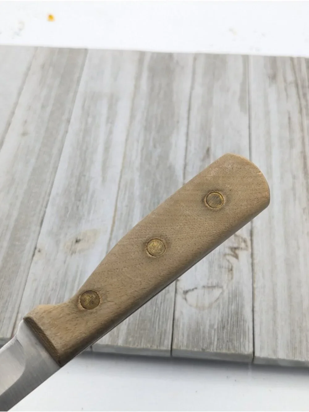 Chicago Cutlery features brand